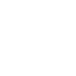 Icon Email