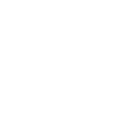 Icone map
