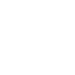Icone téléphone